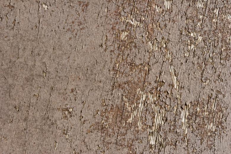 Free stock image of Cracked Dry Wood created by Bjorgvin