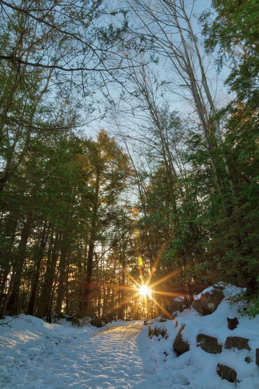 Free stock image of Frozen Sunset Forest Trail created by Nicolas Raymond
