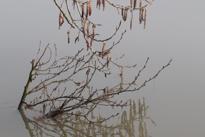 Free stock image of By the riverside... created by GAIMARD Jacques