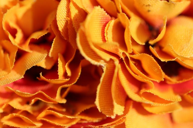 Free stock image of Fabric flower in a cemetery created by GAIMARD Jacques