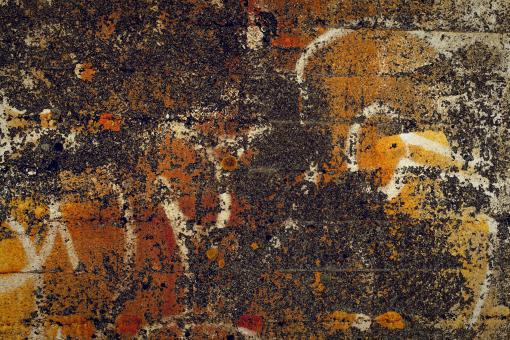 Free Stock Photo of Yellow Grunge Concrete Texture
