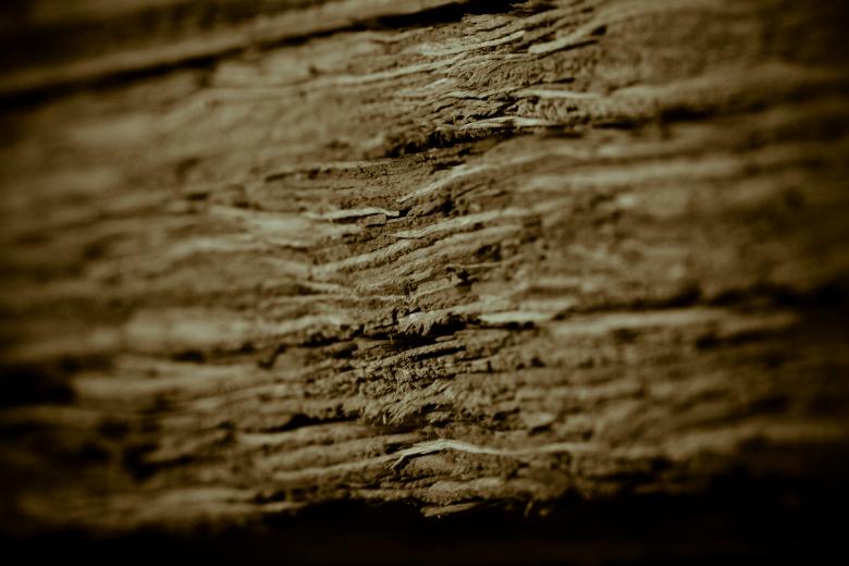 Free stock image of Old Dark Wood created by Bjorgvin