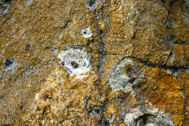 Free stock image of Abstract Stone texture created by Bjorgvin