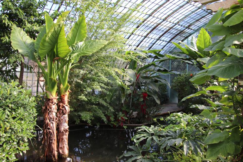 Free stock image of Old greenhouse in Paris created by GAIMARD Jacques