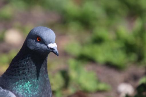 Free Stock Photo of You'd better have something for me, picture-man!