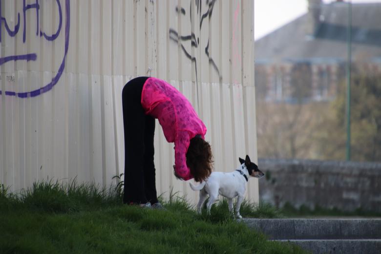 Free stock image of I'm bowing before... My doggy! created by GAIMARD Jacques