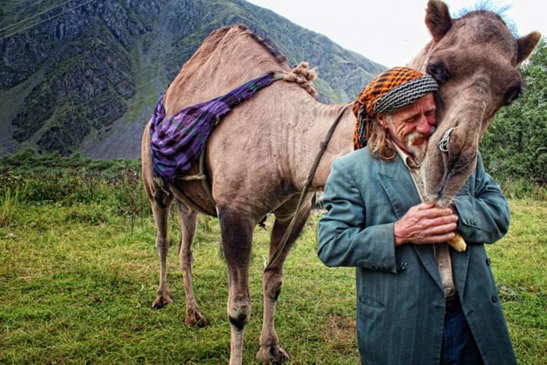 Free stock image of Man and his Camel created by nino nin