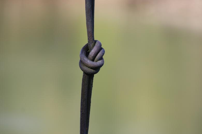 Free stock image of Make a knot, so you do not forget... created by GAIMARD Jacques