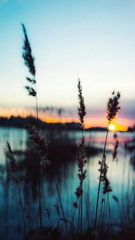 Free stock image of Sunset created by Jack