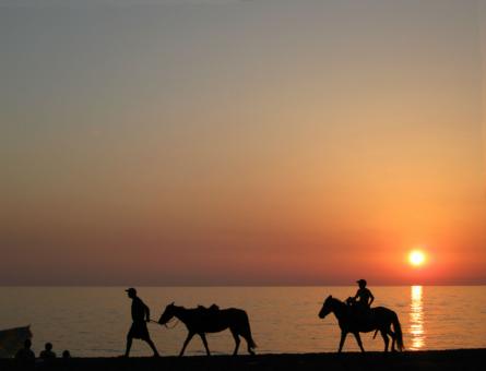 Horse Riding at Sunset - Free Stock Photo