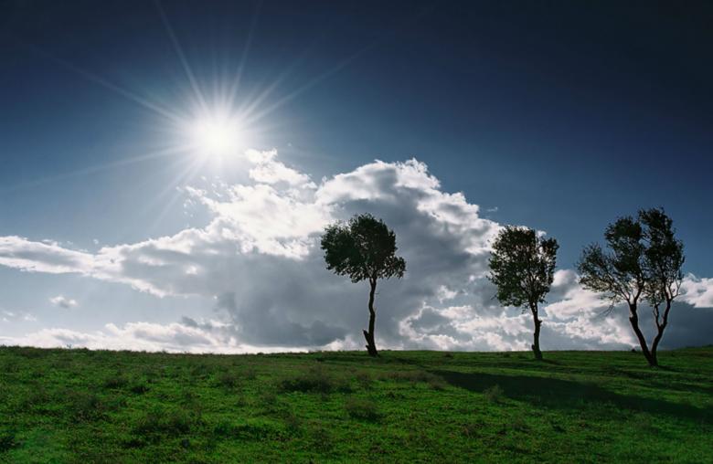 Free stock image of Sunshine and Trees created by nino nin