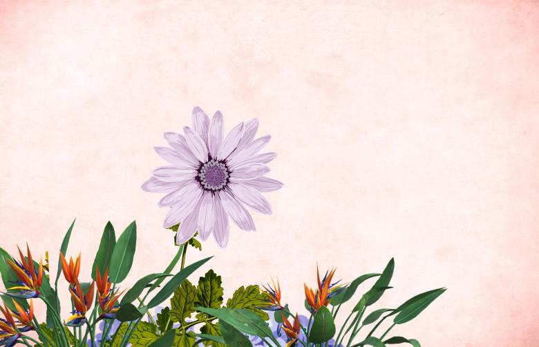 Free stock image of Vintage Floral Background created by mohamed hassan