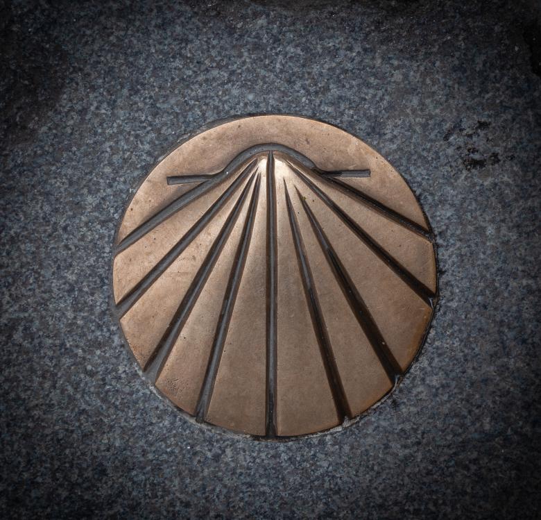 Free stock image of Pilgrim Shell created by PaSoNeCa