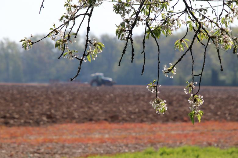 Free stock image of Spring landscape in the country created by GAIMARD Jacques