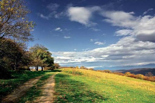 Nature Summer Landscape - Free Stock Photo