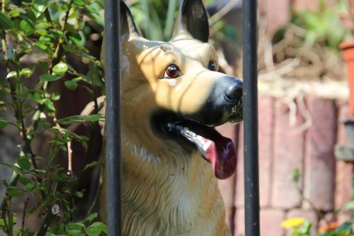 Free Stock Photo of Porcelain doggy in a garden