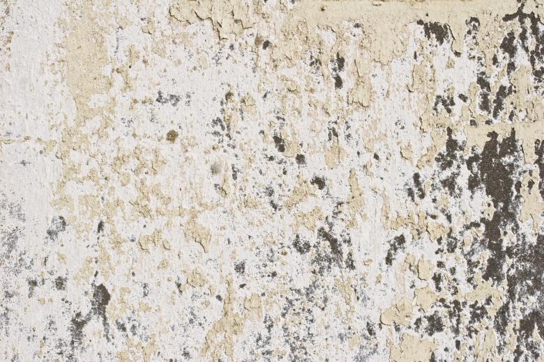 Free stock image of Peeling Paint on Grunge Wall created by Bjorgvin