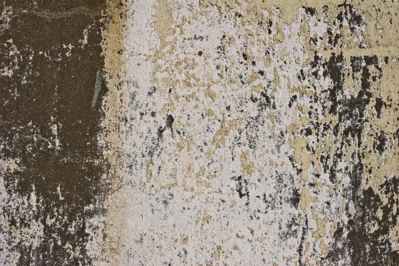 Free stock image of Grunge Surface Wall Texture created by Bjorgvin