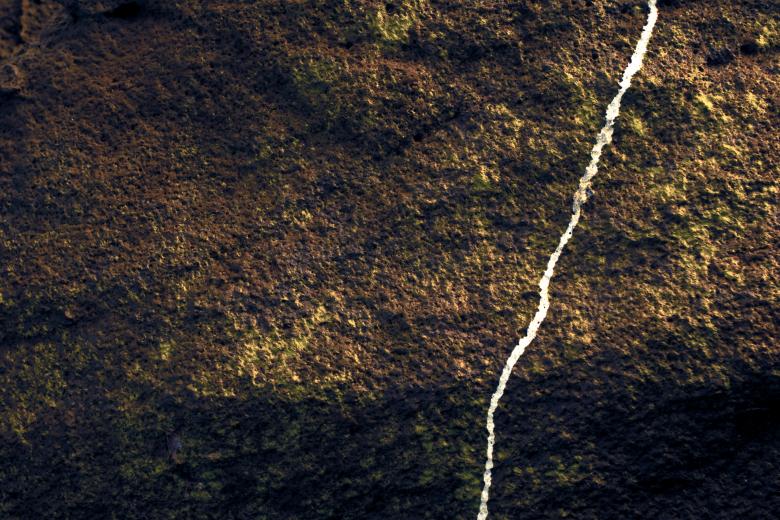 Free stock image of White Streak on Slimy Rock created by Bjorgvin