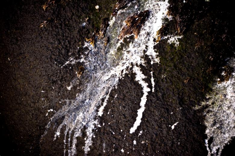 Free stock image of Bird Feces on Rock created by Bjorgvin