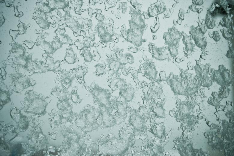 Free stock image of Ice on Window created by Bjorgvin