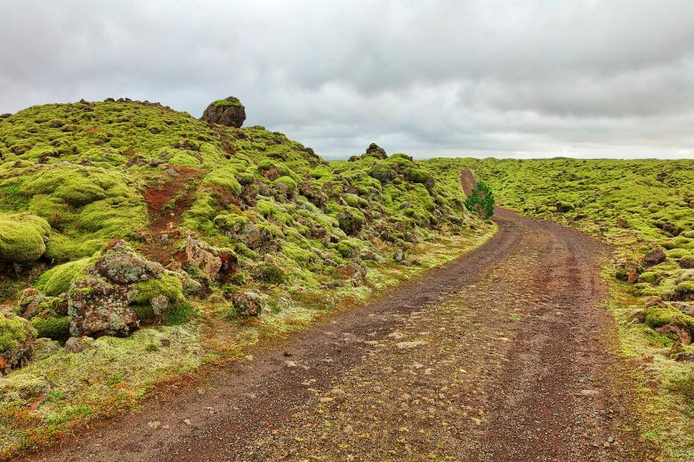 Free stock image of Rugged Iceland Moss Trail created by Nicolas Raymond