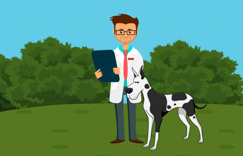 Free stock image of Dog Doctor Illustration created by mohamed hassan