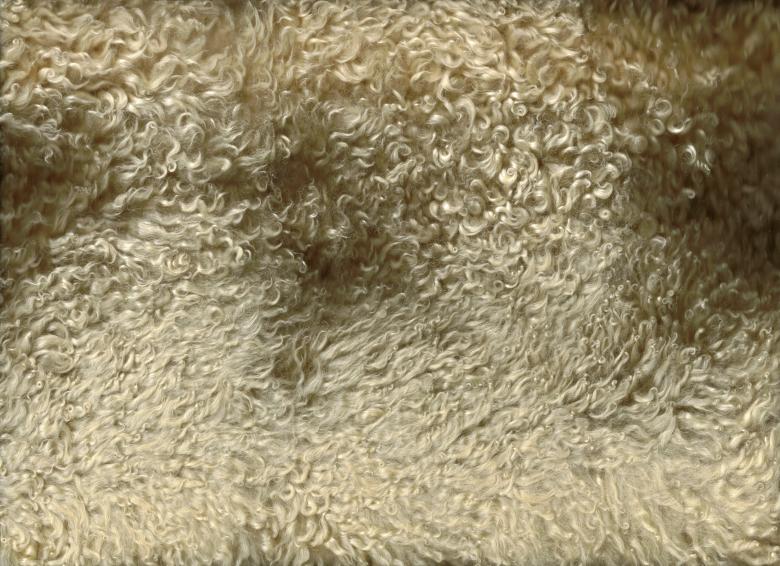 Free stock image of Wool Fabric Background created by Bjorgvin