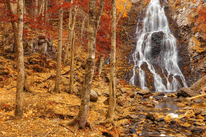 Free stock image of Hays Autumn Fantasy Falls created by Nicolas Raymond