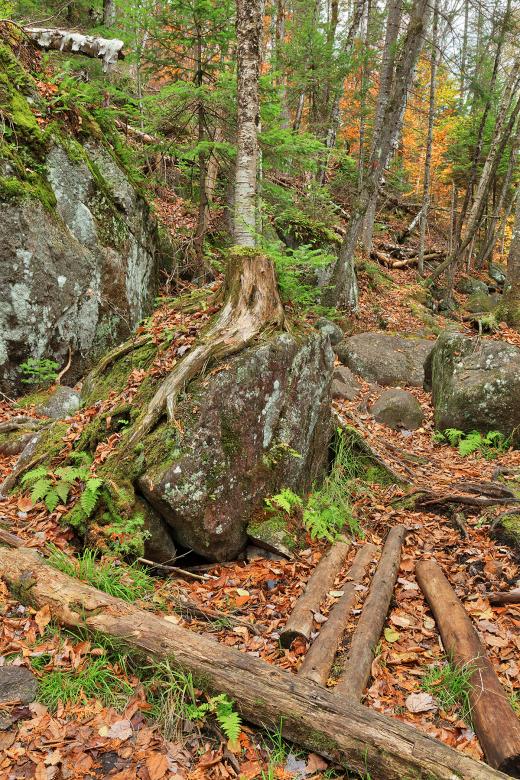 Free stock image of Rugged Doncaster Autumn Trail created by Nicolas Raymond