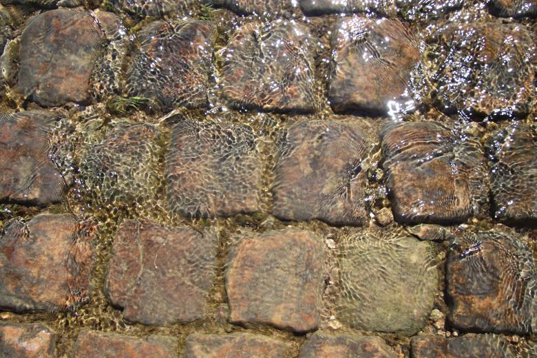 Free stock image of Sandstone pavement underwater created by GAIMARD Jacques