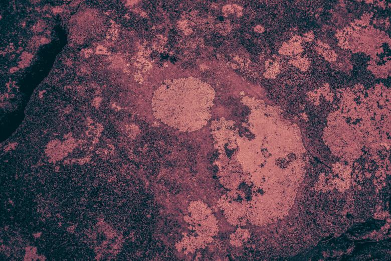 Free stock image of Pink Volcanic Stone Texture created by Free Texture Friday