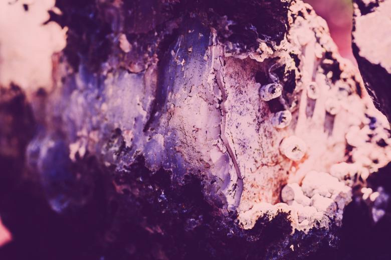 Free stock image of Abstract Violet Rock Crystal Surface created by Free Texture Friday