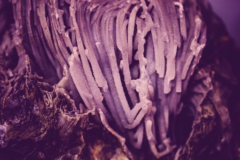 Free stock image of Abstract Violet Rock Crystal Texture created by Free Texture Friday