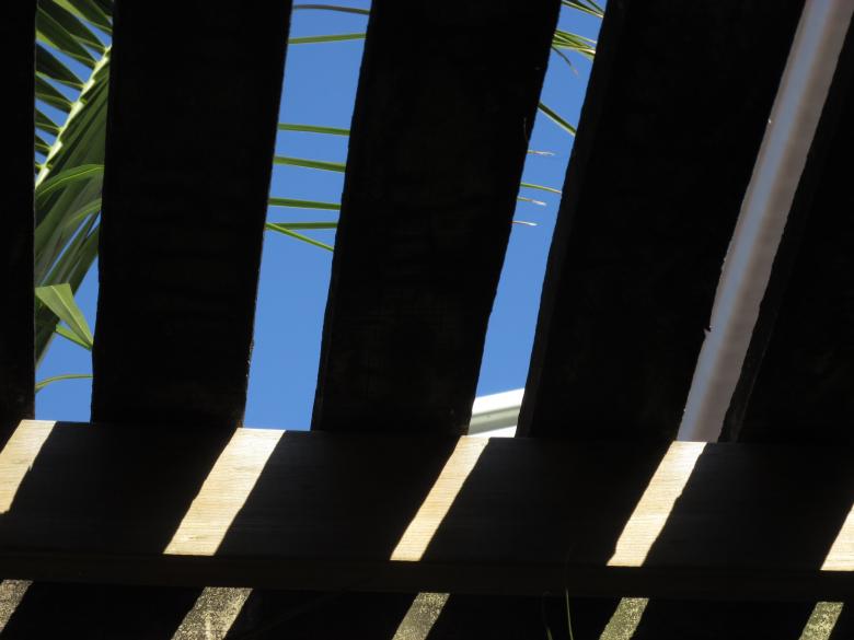 Free stock image of Shadow in Greenhouse Roof created by Michiru Maeda