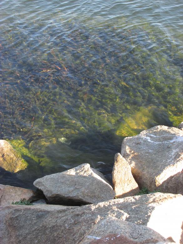 Free stock image of Bedrock and clear water created by Michiru Maeda