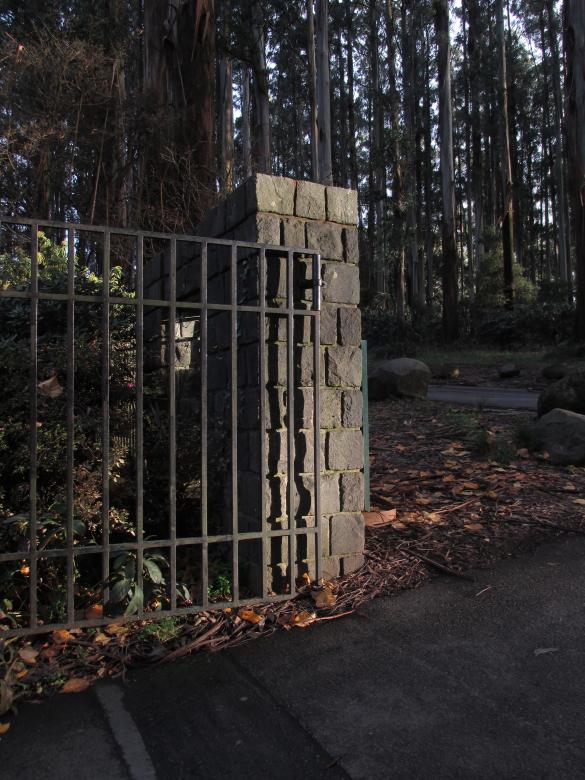 Free stock image of Metal gate to the garden created by Michiru Maeda
