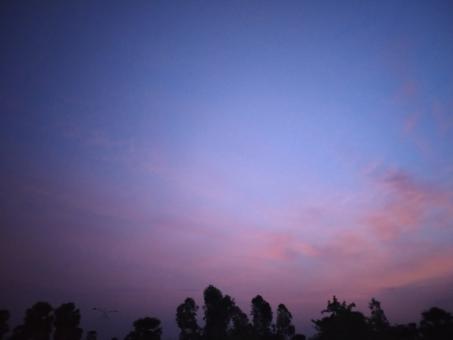 Evening Sky