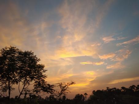 Yellow Sunset