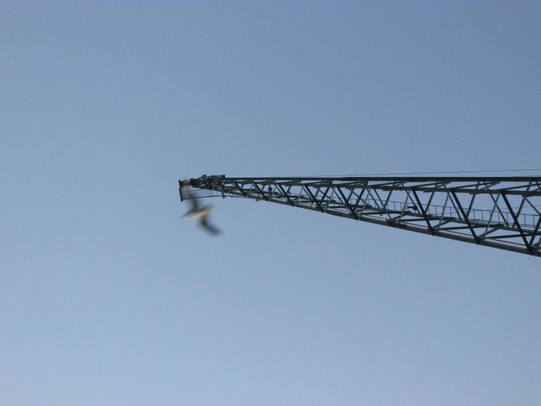 Free stock image of An old crane created by Michiru Maeda