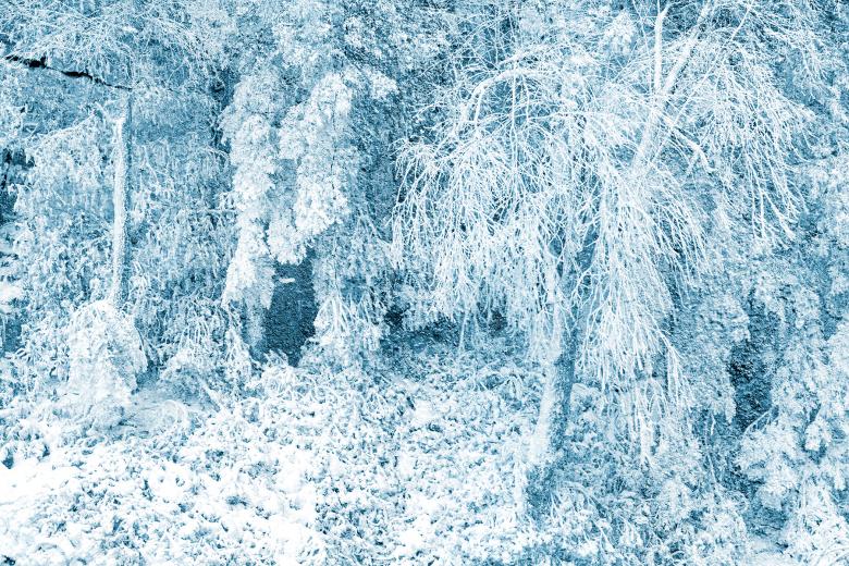 Free stock image of Petrified Winter Impressions created by Nicolas Raymond