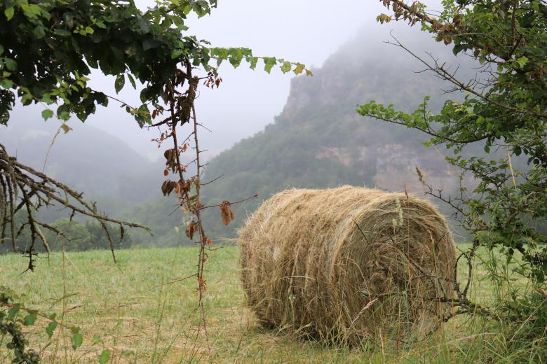 Free stock image of Hay bale in the countryside created by GAIMARD Jacques