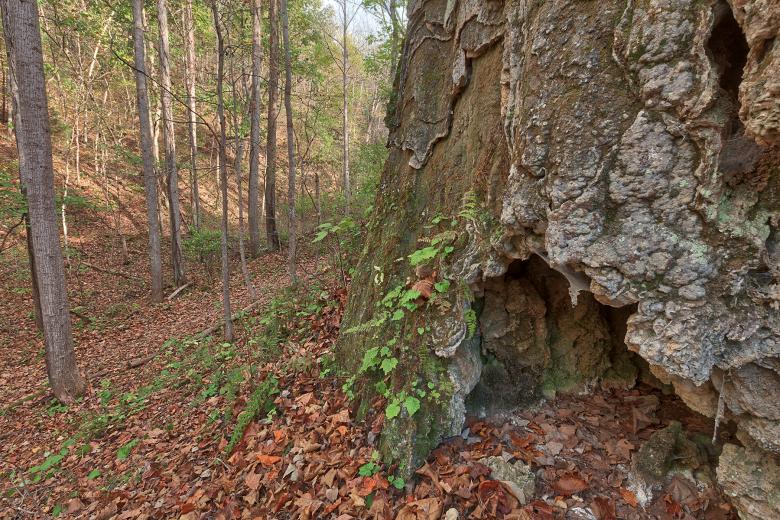 Free stock image of Falls Ridge Cave Trail created by Nicolas Raymond