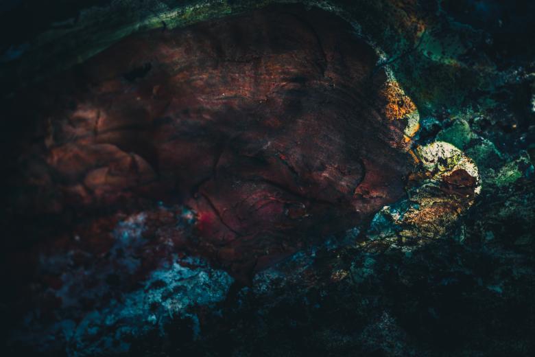 Free stock image of Colorful Alien Rock Surface created by Free Texture Friday