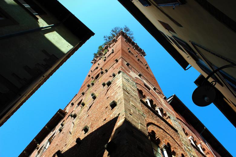 Free stock image of Guinigi Tower - Lucca - Italy created by Jack Moreh