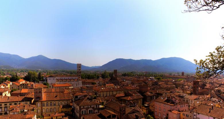 Free stock image of Lucca - Italy - View From Guinigi Tower created by Jack Moreh