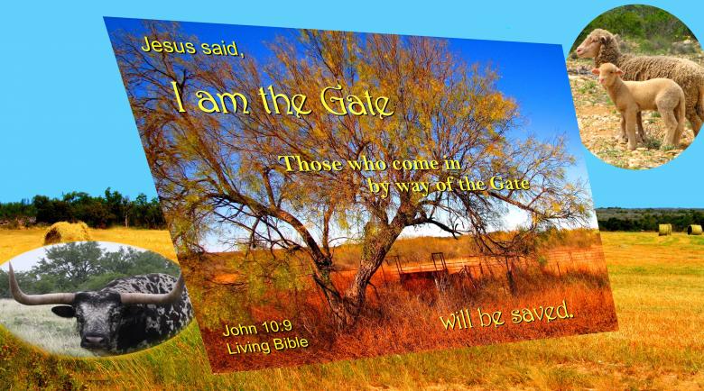 Free stock image of Jesus is the Gate created by DFNatureAwed