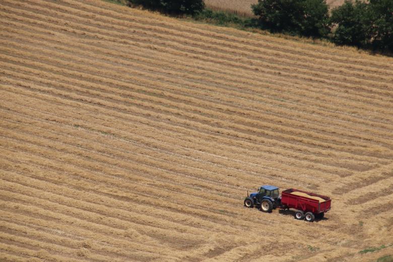Free stock image of It's harvest time created by GAIMARD Jacques