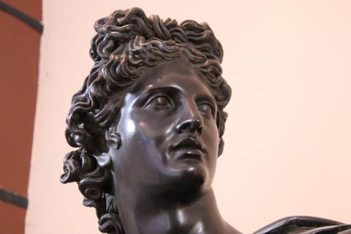 Free Stock Photo of Shining bronze head
