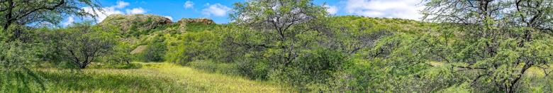 Free stock image of Green Woods Panorama created by Guy Banville